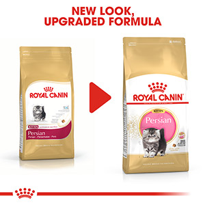 royal canin kitten food pets at home
