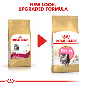 Royal canin persian store adult cat food