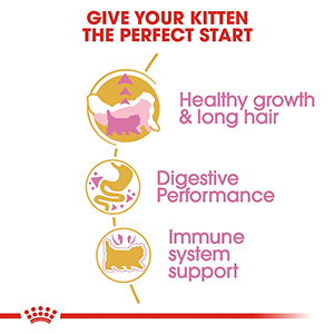 Royal canin cat outlet food persian kitten