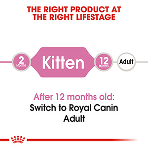 Royal canin 2nd shop stage kitten food