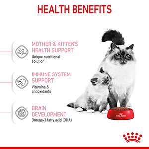 Royal canin outlet pediatric cat