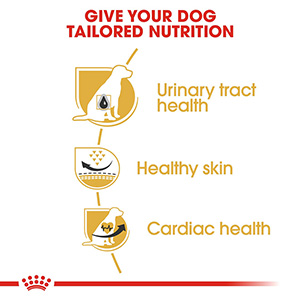 Royal canin cheap dalmatian food