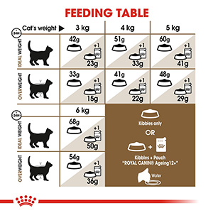 Royal Canin Feline Ageing 12 Dry Senior Cat Food Pets At Home