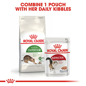 Royal canin hot sale outdoor cat 10kg