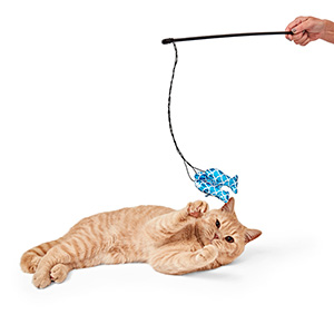 Cat Retractable Fishing Pole, Easy to Grasp Skid Resistance Adjustable  Retractable Cat Teaser Wand with Simulation Fish for Cats(Salmon + Fishing  Rod) : : Pet Supplies