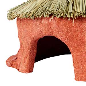 Edible guinea pig house sale