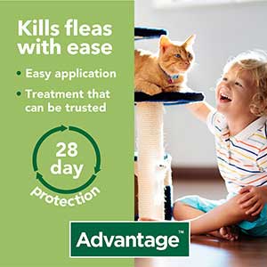 pets at home rabbit flea treatment