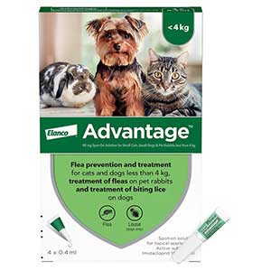 Advantage for best sale nursing cats