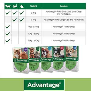 Advantage flea treatment for 2024 rabbits