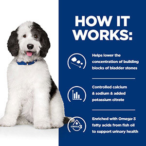 Hill's Prescription Diet c/d Multicare Urinary Care Dry Adult Dog Food ...