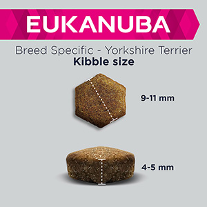 Eukanuba yorkshire best sale