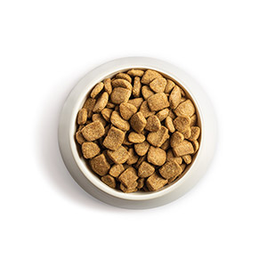 Chappie dog food hot sale for diabetic dogs