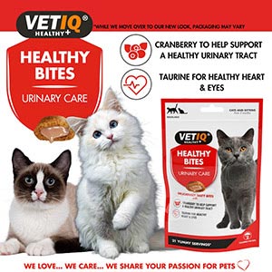 Cat treats for cats with hot sale urinary problems