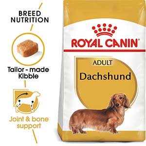 Royal Canin Breed Health Nutrition Dachshund Adult Dry Dog Food 7 5kg Pets At Home