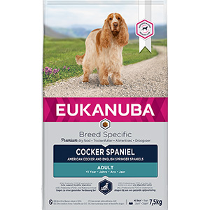 Ava cocker shop spaniel dog food