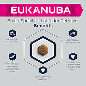 Eukanuba labrador clearance retriever 12 kg