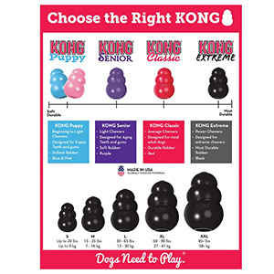 Kong Extreme Chew Treat Dog Toy Black 