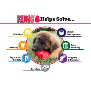 Kong Classic Dog Toy Red Small | Pets At Home