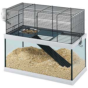 Prestatie eindeloos Agressief Ferplast Gabry 50 Gerbilarium Gerbil, Hamster and Mouse Cage | Pets At Home
