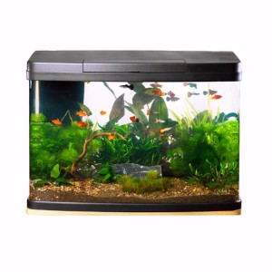 Love Fish Panorama Tank 64 Litre | Pets 
