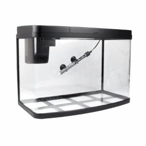 Pets at best sale home starter tank