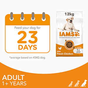 iams dog food 12kg best price