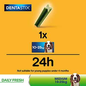 Pedigree hotsell mint dentastix