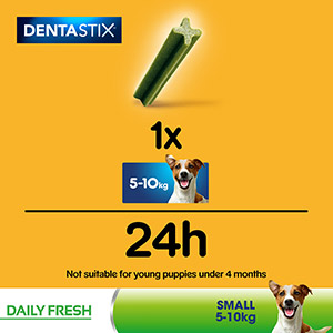 Dentastix fresh hotsell biscuit small