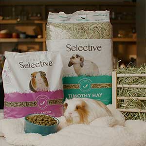 Supreme selective guinea outlet pig food