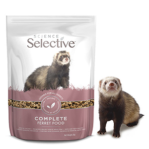 Soft store ferret food