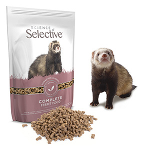 Dry best sale ferret food