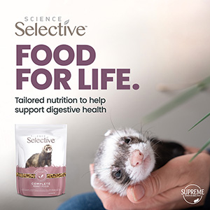 Healthy sales ferret food