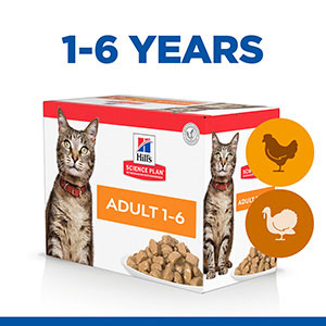 Science plan cat food pets clearance at home