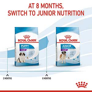 Royal canin junior giant sales 15kg