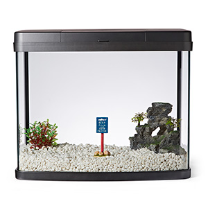 2.5 gallon outlet fish tank petco