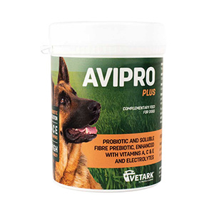antibacterial powder for dogs pets at home