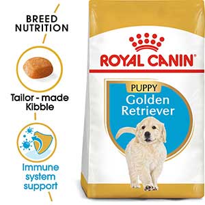 Best food to feed golden hot sale retriever puppy