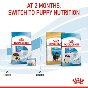 Royal canin giant starter outlet mother & baby dog