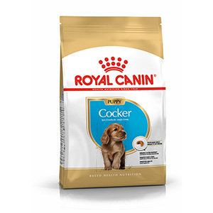 Royal canin golden shop retriever puppy 3kg