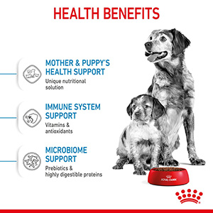 Royal canin best sale mini starter ingredients