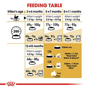 Uitgaan van Horizontaal Betuttelen Royal Canin Feline Breed Maine Coon Dry Kitten Food 4kg | Pets At Home