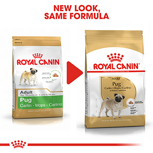 Royal canin store pug adult food