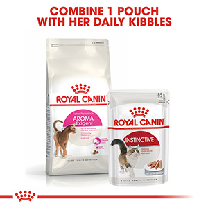 royal canin aroma cat food