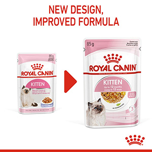 Royal canin kitten outlet jelly