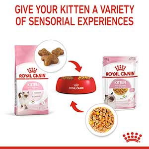 pets at home royal canin kitten