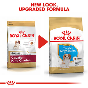 Best dry food for cavalier hot sale king charles