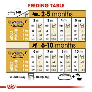 Royal canin clearance puppy miniature schnauzer