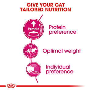 Protein exigent royal store canin