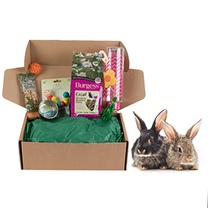 Pets Parcel For Rabbits Pets At Home