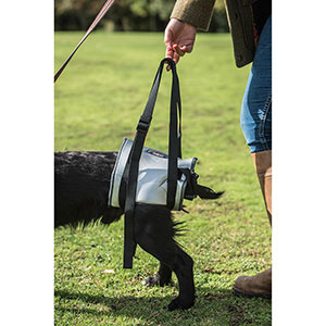 Helping hand clearance harness for dogs